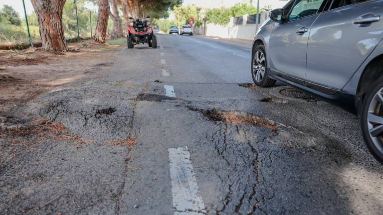 La calle Pal, a la que los vecinos llaman «el Dragon Khan» por el efecto de las raíces en el asfalto. Foto: Alba Mariné