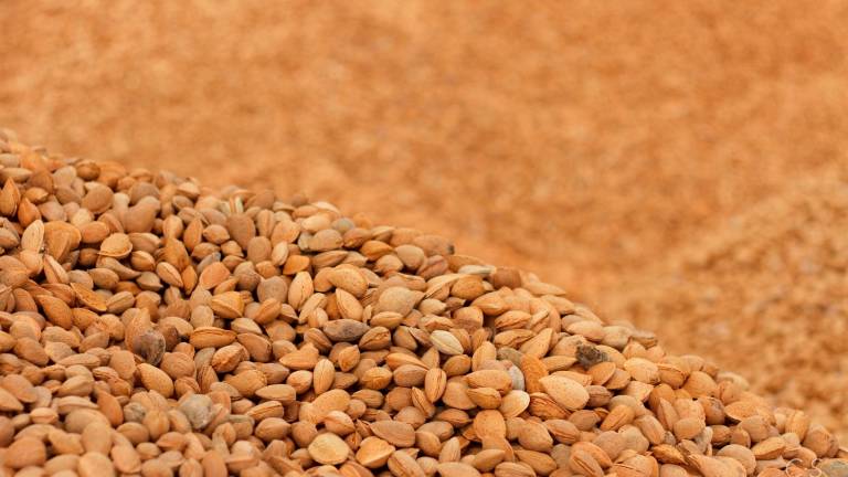 Las almendras son el principal producto de esta empresa. Foto: Cedida