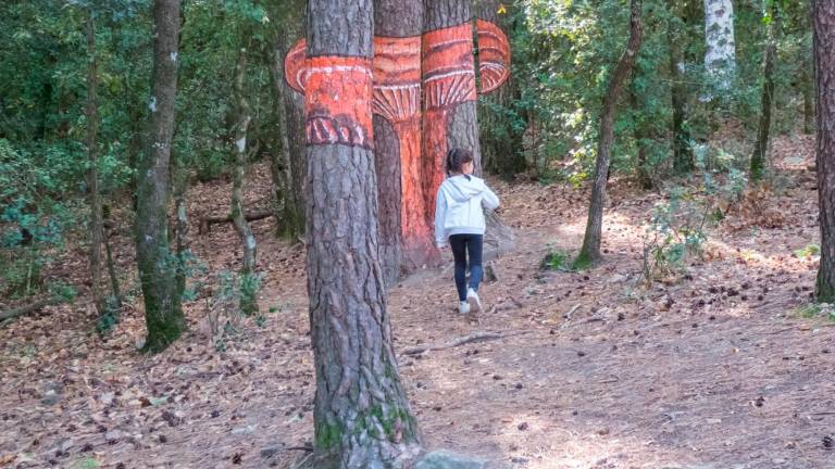 Buscando setas gigantes en el bosque de Castellfollit