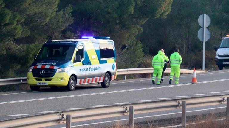 Los Mossos d’Esquadra, junto a los técnicos de Conservació de Carreteres, en el lugar de los hechos. Foto: ACN