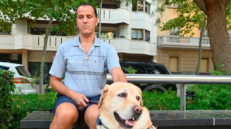 La nueva normativa también garantiza el derecho de estos perros al descanso. Foto: Alfredo González
