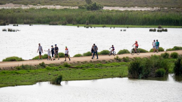 Visitants a l’Illa de Buda amb motiu de la romeria. Molts es desplacen a peu o en bicicleta. També en trenet. FOTO: J. Revillas