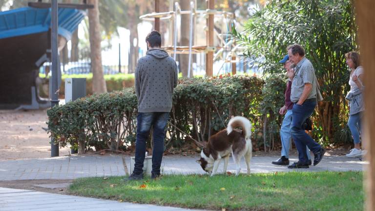 Un chico pasea a su perro por una de las zonas del Parc del Pescador de Cambrils. Foto: Alba Mariné