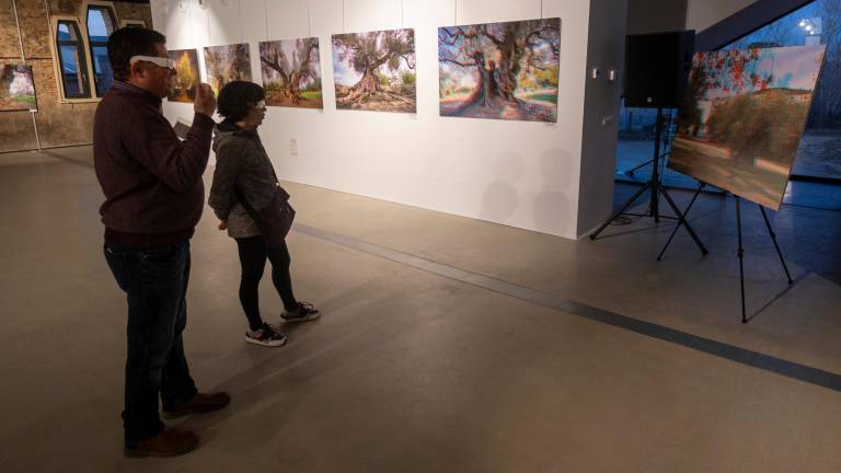 L’exposició es podrà veure fins al 28 de febrer a Ulldecona. Foto: Joan Revillas