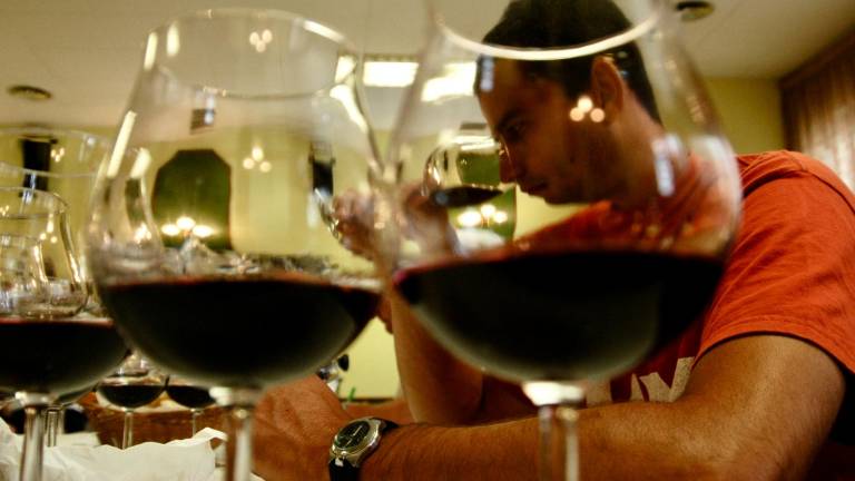La Terra Alta viurà cinc dies d’actes i promoció dels vins. foto: J.Revillas