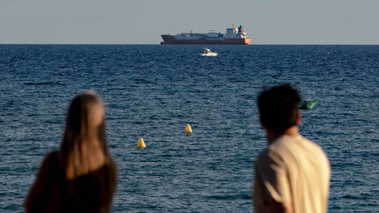 El conflicto de la estiba mantiene «congestionado» el tráfico de barcos en el Port
