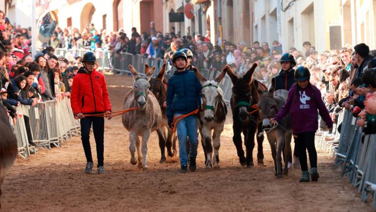 En les ‘corrides’ d’ahir, diumenge, hi van participar cinc cavalls, una desena de rucs i quatre matxos. foto: JM Franch