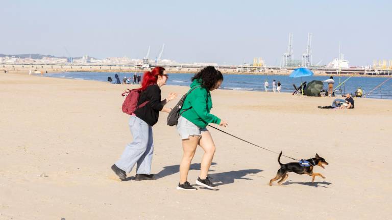 La zona de baño para perros se delimitará en el tramo de playa frente al parque de Els Prats. Foto: Ángel Ullate