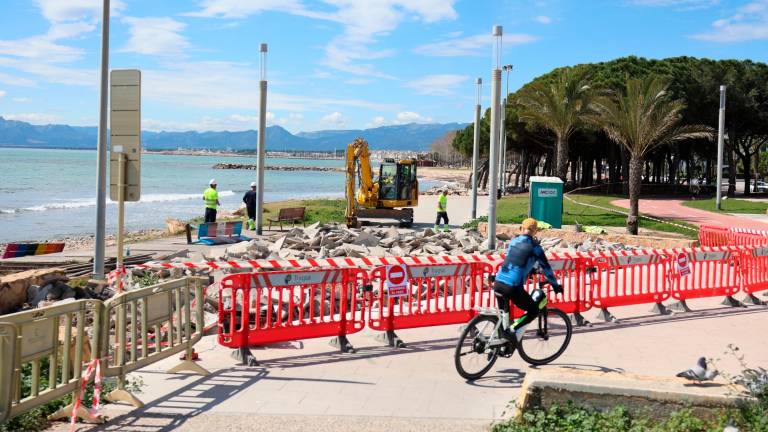 Costas ha iniciado esta semana los trabajos en el paseo. Foto: Alba Mariné