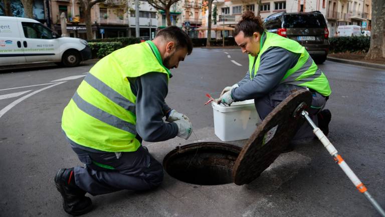 Dos operarios realizando tratamiento contra las ratas en la plaza de la Llibertat, en una imagen de archivo. FOTO: Alba Mariné