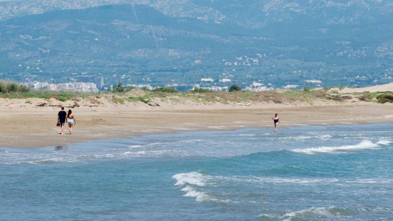 Panoràmica de la platja de la Marquesa, a Deltebre. FOTO: Joan Revillas