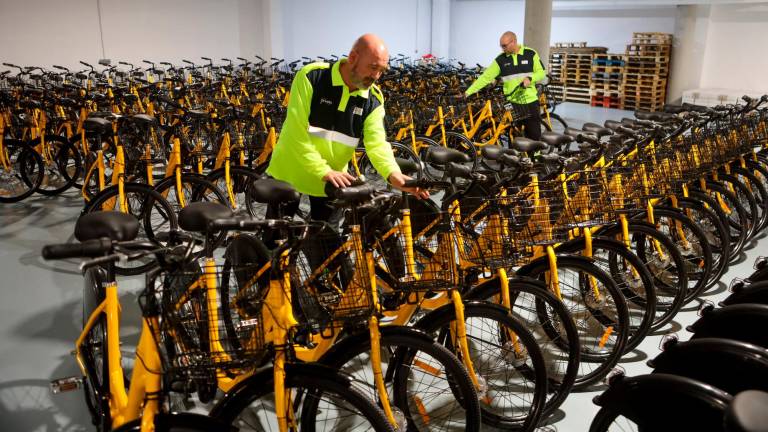 Las bicicletas ya descansan en el taller municipal y entrarán en pruebas la semana que viene. Foto: Alba Mariné