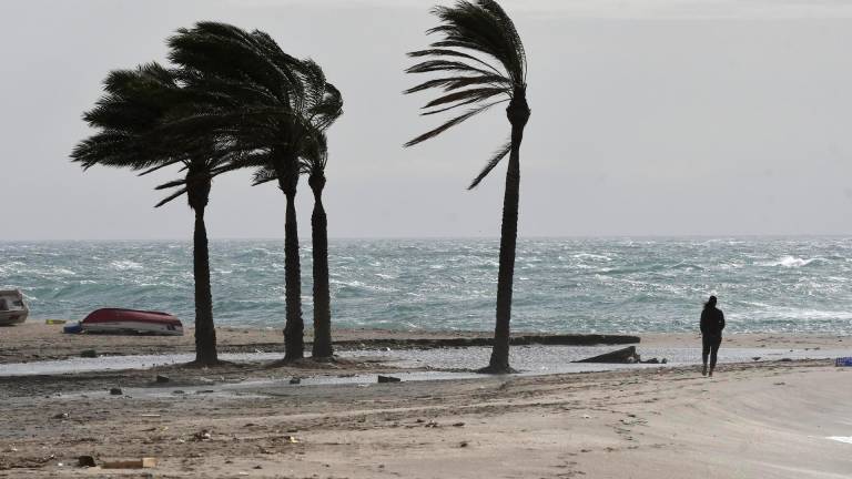 El viento afectará a toda la provincia de Tarragona. Foto: EFE