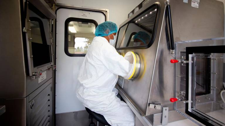 Muchos países como Mexico (imagen) se han puesto manos a la obra para tratar los casos de gripe aviar. Foto: EFE