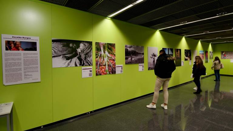 Hasta finales de mes, la muestra se puede visitar en el Campus Terres de l’Ebre de la URV. Foto: Joan Revillas