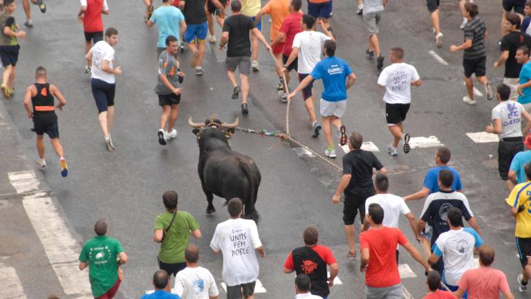 Participants corrent a la vora d’un bou capllaçat a l’Aldea. Foto: J. Revillas