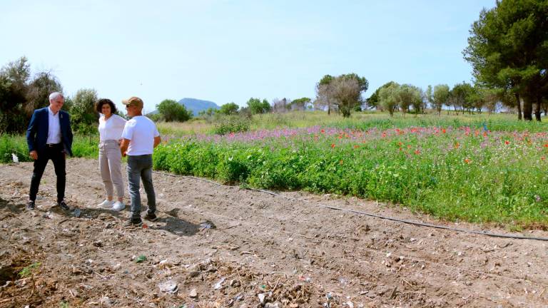 L’alcalde d’Amposta, Adam Tomàs; la regidora de Participació Ciutadana, Carla Bonfill; i el president d’Aula i Natura, Ferran Latre, als terrenys de l’antic abocador d’Amposta que l’Ajuntament ha cedit en custòdia a l’entitat. Foto: ACN