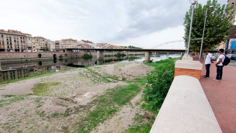Aquest és l’estat del riu Ebre al seu pas per Tortosa, aquesta setmana. foto: Joan REvillas
