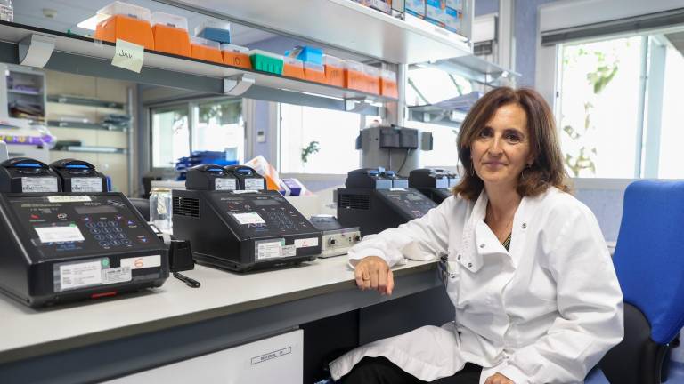 Maripaz Sánchez-Seco lidera el equipo que ha conseguido secuenciar la bacteria causante de la viruela del mono. foto: efe