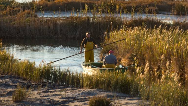 Pescadors a la llacuna de l’Encanyissada, al marge dret del delta de l’Ebre. Foto: Joan Revillas