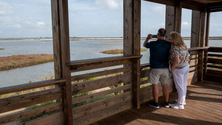 Mirador a la llacuna de la Tancada, al marge dret del delta de l’Ebre. Foto: Joan Revillas