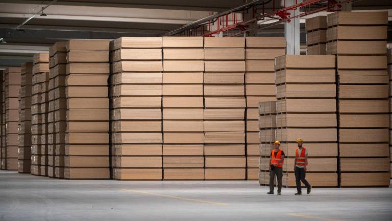 La fàbrica ja està en funcionament amb la línia de producció de taulers d’aglomerat amb fusta reciclada. Foto: Joan Revillas