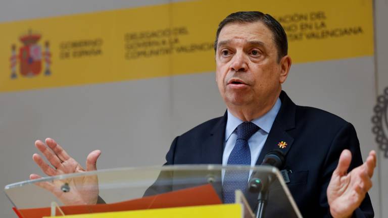 El ministro de Agricultura, Pesca y Alimentación, Luis Planas. Foto: EFE