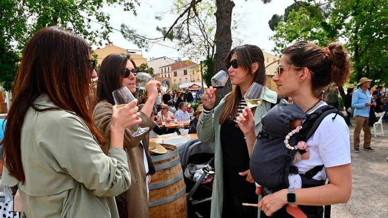 El vino, el aceite y la cultura desestacionalizan el turismo y ponen en valor el Baix Camp y el Priorat