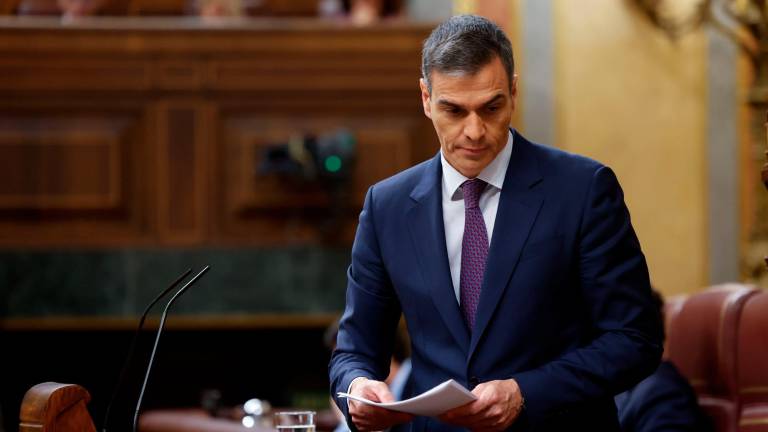 Pedro Sánchez en un pleno del Congreso. Foto: EFE