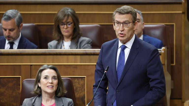 El presidente del PP, Alberto Núñez Feijóo, interviene durante la sesión de control al Gobierno celebrada este miércoles en el Congreso. Foto: EFE