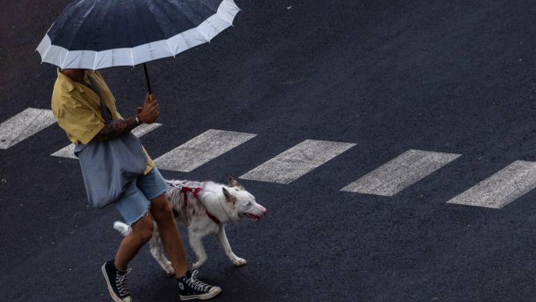 La lluvia puede ir acompañada de granizo y fuertes rachas de viento. Foto: EFE