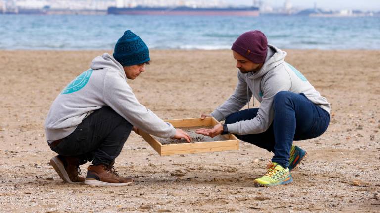 Voluntarios de la ONG Good Karma Projects recogen pélets en la playa de La Pineda, una de las más afectadas por los microplásticos. Foto: EFE
