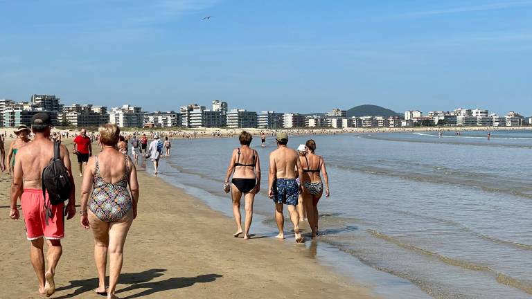 El calor ha sido motivo de muchas muertes este año. Foto: EFE