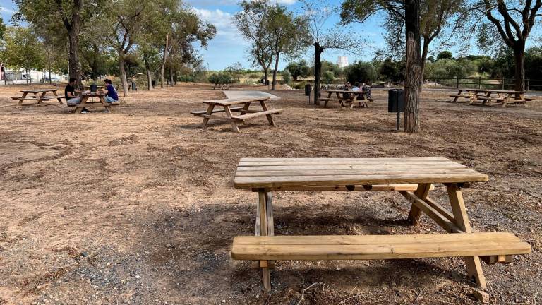 El estado que muestra actualmente el parque, que ya vuelve a contar con el mobiliario de picnic que fue destrozado. Foto: Alfredo González