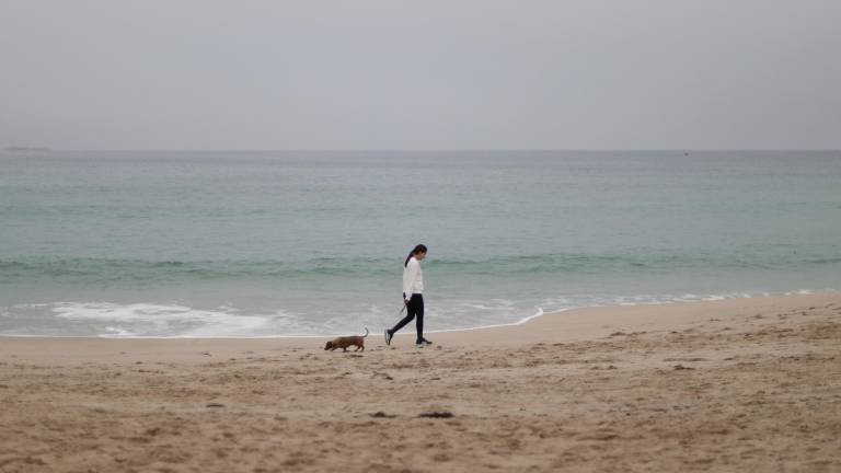 Una mujer y su perro paseaban este jueves por la playa del Orzán, en A Coruña, con el cielo cubierto por la niebla. Sin perspectiva de lluvias a corto plazo, en el arranque otoñal más cálido de la historia, un déficit anual de precipitación cercano al 11 por ciento y embalses en niveles de agua agónicos agravan la fuerte sequía que arrastra España en los últimos años. Foto: EFE