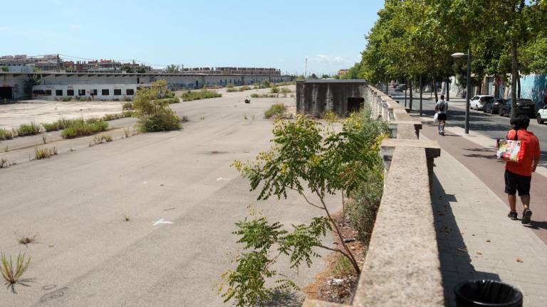 El aspecto que muestran los terrenos entre las vías y la avenida del Comerç, que quedaron sin actividad en 2011. Foto: Alba Mariné