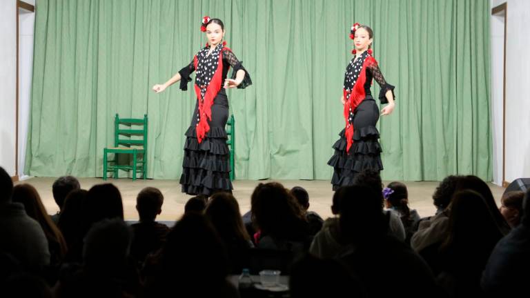Actuación de baile de flamenco, este sábado 11 de febrero, en el Centro Cultural de Andalucía de Reus. Foto: Alba Mariné