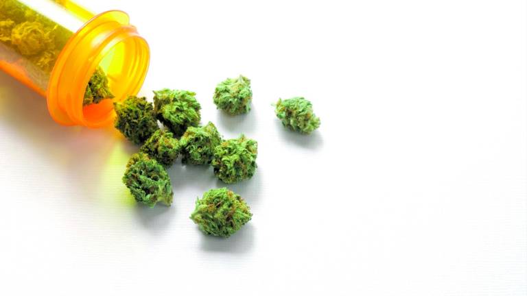 La regulación del cannabis medicinal se hará mediante un real decreto y no a través de una orden ministerial. foto: getty images
