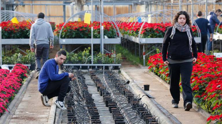 L’Institut d’Horticultura i Jardineria de Reus és un dels centres que rebrà més diners. Foto: Pere Ferré/DT