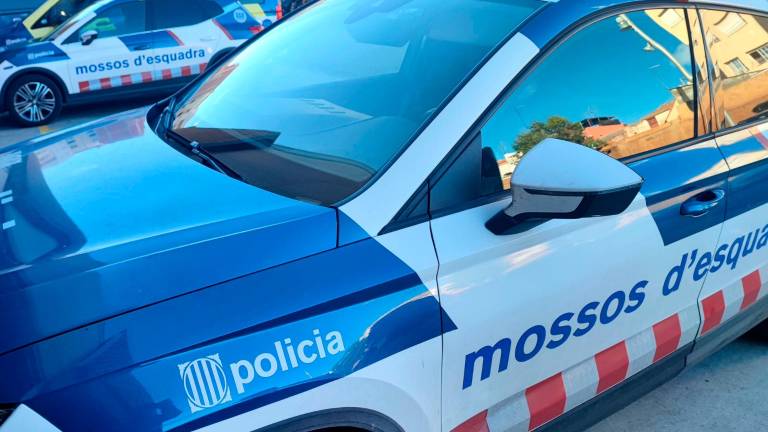 El conductor estaba visiblemente nervioso y opuso resistencia. Foto: Mossos d’Esquadra