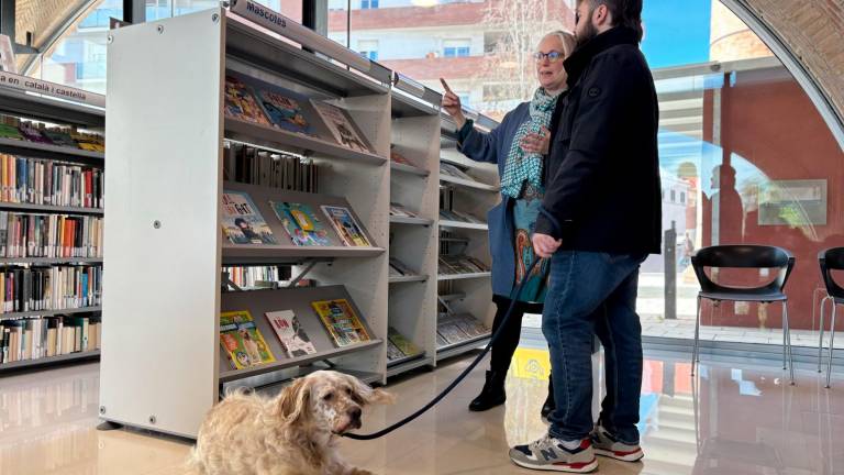 La biblioteca ha organizado una sección de libros sobre mascotas. FOTO: DT