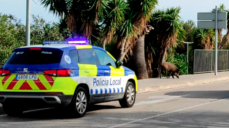 Dos policías locales de Calafell heridos en una persecución