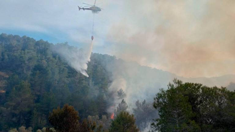 Els Bombers donen per controlat l’incendi forestal d’Ascó