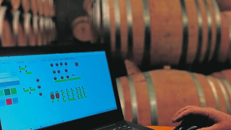 $!Anawin permet digitalizar tota la cadena de producció del vi. Foto: Cedida