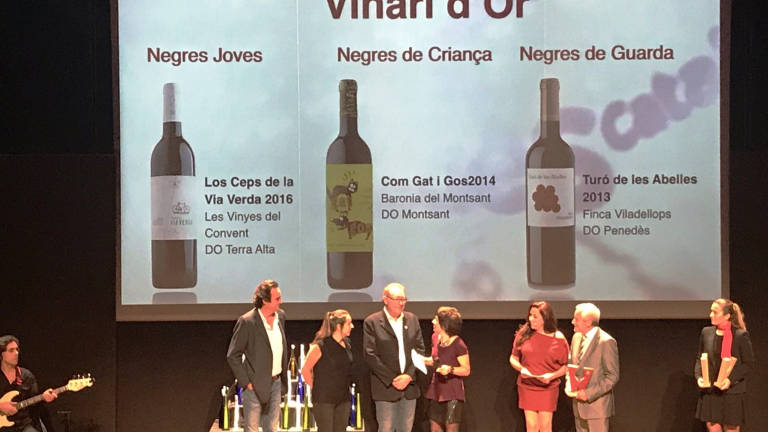 Un moment de la gala dels Premis Vinari. Foto: @JordiRiusWine