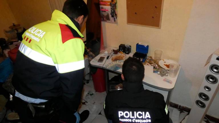Ingressen a presó cinc dels nous detinguts en una operació antidroga a Roquetes i Tortosa