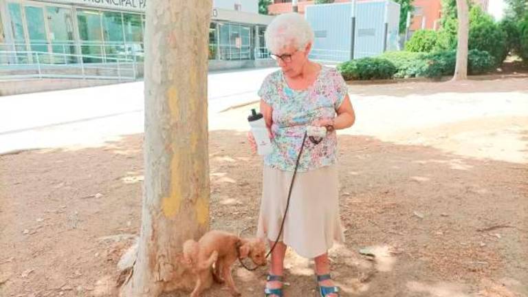 Imagen de archivo de una persona paseando a su perro. Foto: G. A.