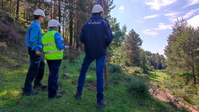 Un equip d’Endesa inspeccionant la línia d’un bosc, com una mesura de prevenció d’incidències. Foto: cedida