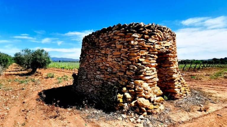 Santa Oliva impulsa la recuperació de la pedra seca