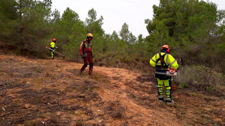 La Diputació de Tarragona buscarà fomentar l’ocupació i alhora millorar l’entorn